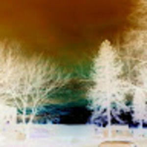 Meet your Posher, Lance